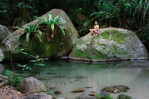 Mossman Gorge Adventure Day - Surfers Gold Coast 6