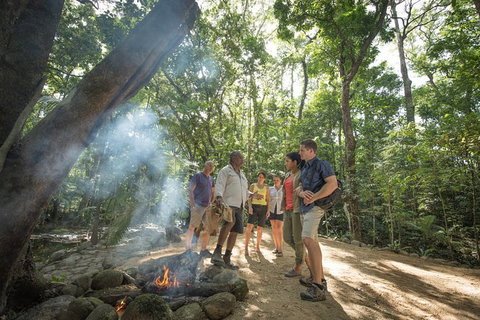 Mossman Gorge Adventure Day - Surfers Gold Coast 2