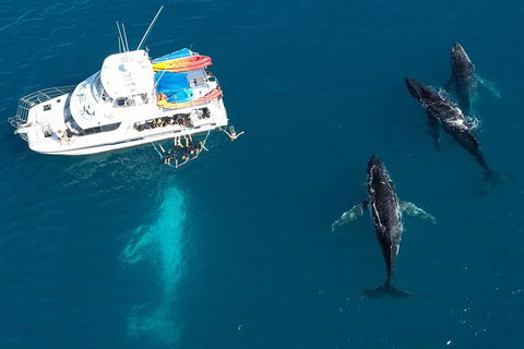 Remote Fraser Island & Whale Experience - Surfers Gold Coast 3