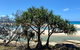 Full-Day Small Group Tour To North Stradbroke Island - thumb 6