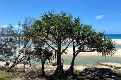 Full-Day Small Group Tour To North Stradbroke Island - Surfers Gold Coast 6