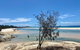 Full-Day Small Group Tour To North Stradbroke Island - thumb 2