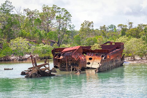 Sandy Straits Scenic & Wildlife Cruise - Surfers Gold Coast 9
