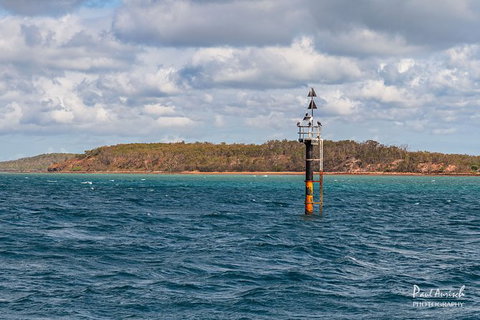 Sandy Straits Scenic & Wildlife Cruise - Surfers Gold Coast 6