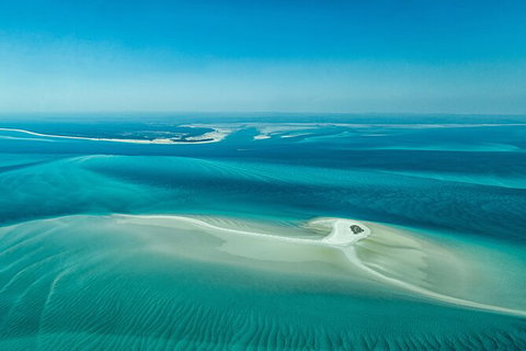 Sandy Straits Scenic & Wildlife Cruise - Surfers Gold Coast 5