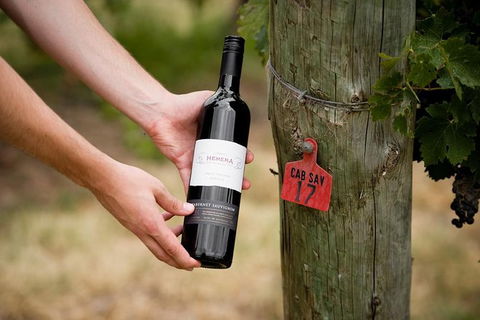 Barossa Valley Highlights From Barossa Valley Including Wine And Cheese Tasting - Surfers Gold Coast 12