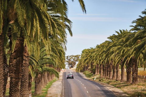 Barossa Valley Highlights From Barossa Valley Including Wine And Cheese Tasting - Surfers Gold Coast 2