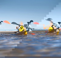 Kangaroo Island Self-Guided Kayaking on the Harriet River - Surfers Gold Coast