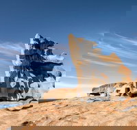 Kangaroo Island Luxury Small Group 'Flinders Chase Focus' Full Day Tour - Surfers Gold Coast