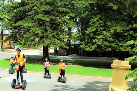 Segway Tour At Seppeltsfield Winery - Surfers Gold Coast 6