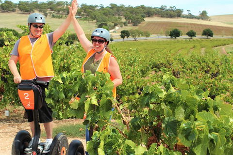 Segway Tour At Seppeltsfield Winery - Surfers Gold Coast 5