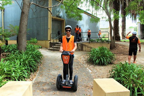 Segway Tour At Seppeltsfield Winery - Surfers Gold Coast 1