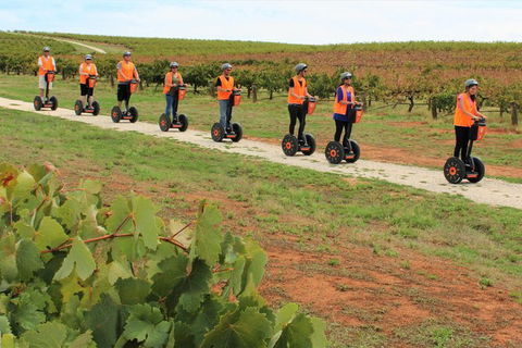 Segway Tour At Seppeltsfield Winery - Surfers Gold Coast 7