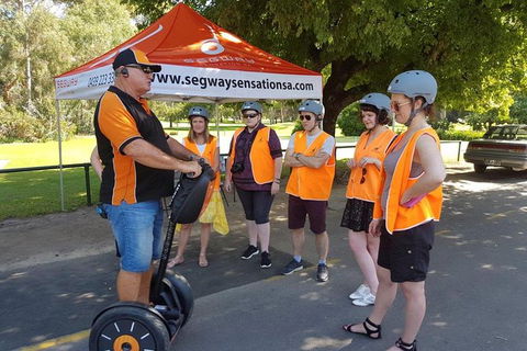 Segway Tour At Seppeltsfield Winery - Surfers Gold Coast 9