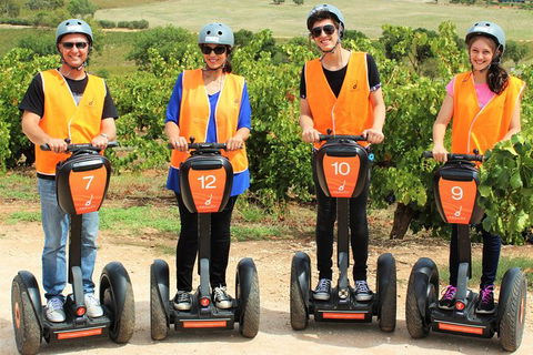 Segway Tour At Seppeltsfield Winery - Surfers Gold Coast 2