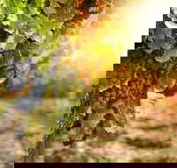 Kangaroo Island Half Day Food and Wine Trail Tour - Surfers Gold Coast