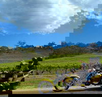 Unique Trike Barossa Valley Half Day Private Tour For 2 - Surfers Gold Coast