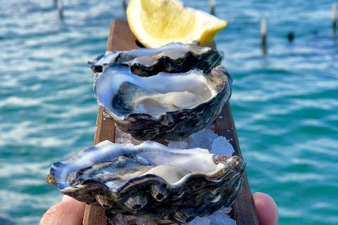 Coffin Bay Oysters, Ocean & Nature Tour - Surfers Gold Coast 0