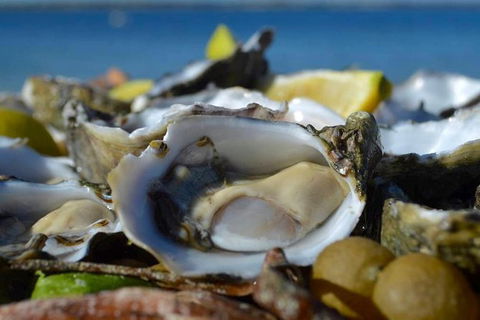 Coffin Bay Oysters, Ocean & Nature Tour - Surfers Gold Coast 8