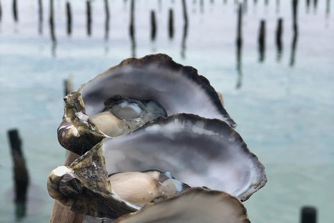 Coffin Bay Oysters, Ocean & Nature Tour - Surfers Gold Coast 6