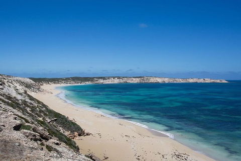 Coffin Bay Oysters, Ocean & Nature Tour - Surfers Gold Coast 16