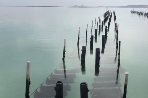 Coffin Bay Oysters, Ocean & Nature Tour - Surfers Gold Coast 15