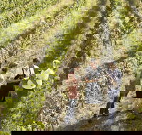 Beyond The Velvet Rope - Behind the Scenes Tour - Surfers Gold Coast