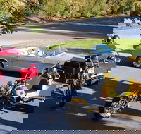 Ultimate Barossa Adventure Day Tour For 2 - Combined Mustang Convertible-Trike - Surfers Gold Coast