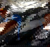 Barossa Rally School Hotlap Ride in a Rally Car 3 Laps - Surfers Gold Coast