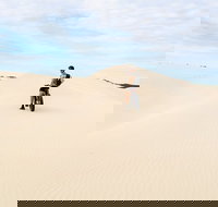 Kangaroo Island 2 Hour Bike Tour - Surfers Gold Coast