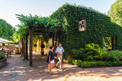 Yalumba Signature Tour - Surfers Gold Coast 3