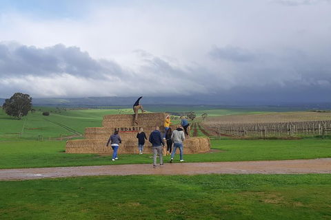 Private Wine Tour - Surfers Gold Coast 4