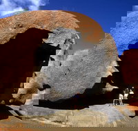 Full-Day Kangaroo Island Safari from Penneshaw - Surfers Gold Coast