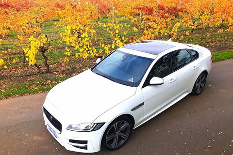 Luxury Jaguar Barossa Valley Half Day Private Tour For 2 - Surfers Gold Coast 2
