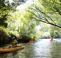 Paddle with the Platypus Twilight Kayak Adventure - Surfers Gold Coast