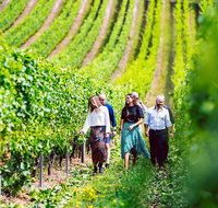 Tasmanian Wine Tour - Surfers Gold Coast