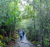 kunanyi/Mt Wellington Explorer Bus - One Way Tour - Surfers Gold Coast