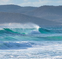Full Day Tour Hobart East Coast Classic Wine Beach Oysters Seafood  Berries - Surfers Gold Coast