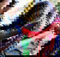 Sunset Experience - Surfers Gold Coast