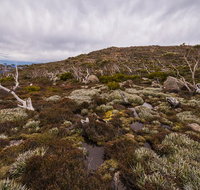 Alpine Loop - Surfers Gold Coast