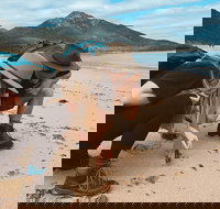 Freycinet Walking Tour - Surfers Gold Coast