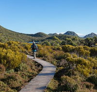Hartz Mountains premium private photo-oriented day tour from Hobart - Surfers Gold Coast