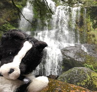 Waterfalls Guided Tour - Surfers Gold Coast