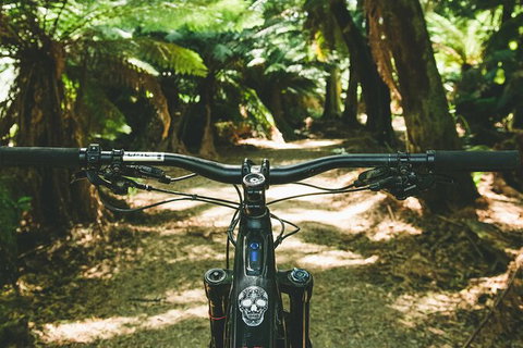 Send IT 4 Day Derby & St Helens MTB Experience - Surfers Gold Coast 6