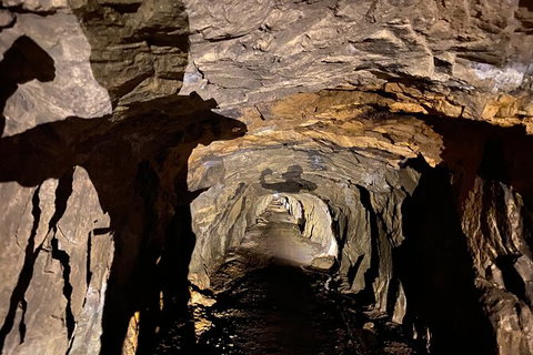 Send IT 4 Day Derby & St Helens MTB Experience - Surfers Gold Coast 4