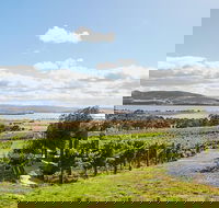 Launceston Wine  Sightseeing Tours - Surfers Gold Coast