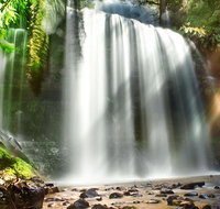 Mount Field Private Charter Service - Surfers Gold Coast