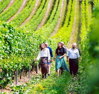 Hobart Highlights of Tasmanian Wine Full Day Tour - Surfers Gold Coast