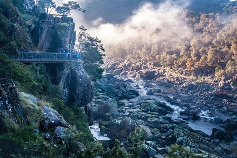 3.5 Hours Walking Tour To Cataract Gorge With Local Guide - Surfers Gold Coast 0
