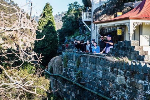 3.5 Hours Walking Tour To Cataract Gorge With Local Guide - Surfers Gold Coast 3